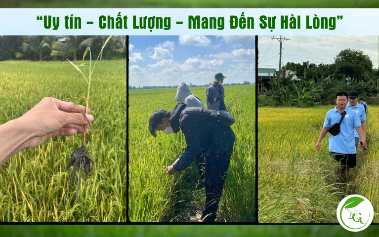 Đội ngũ nhân viên kỹ thuật