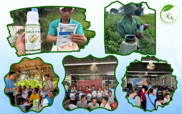 Hỗ trợ tư vấn kỹ thuật