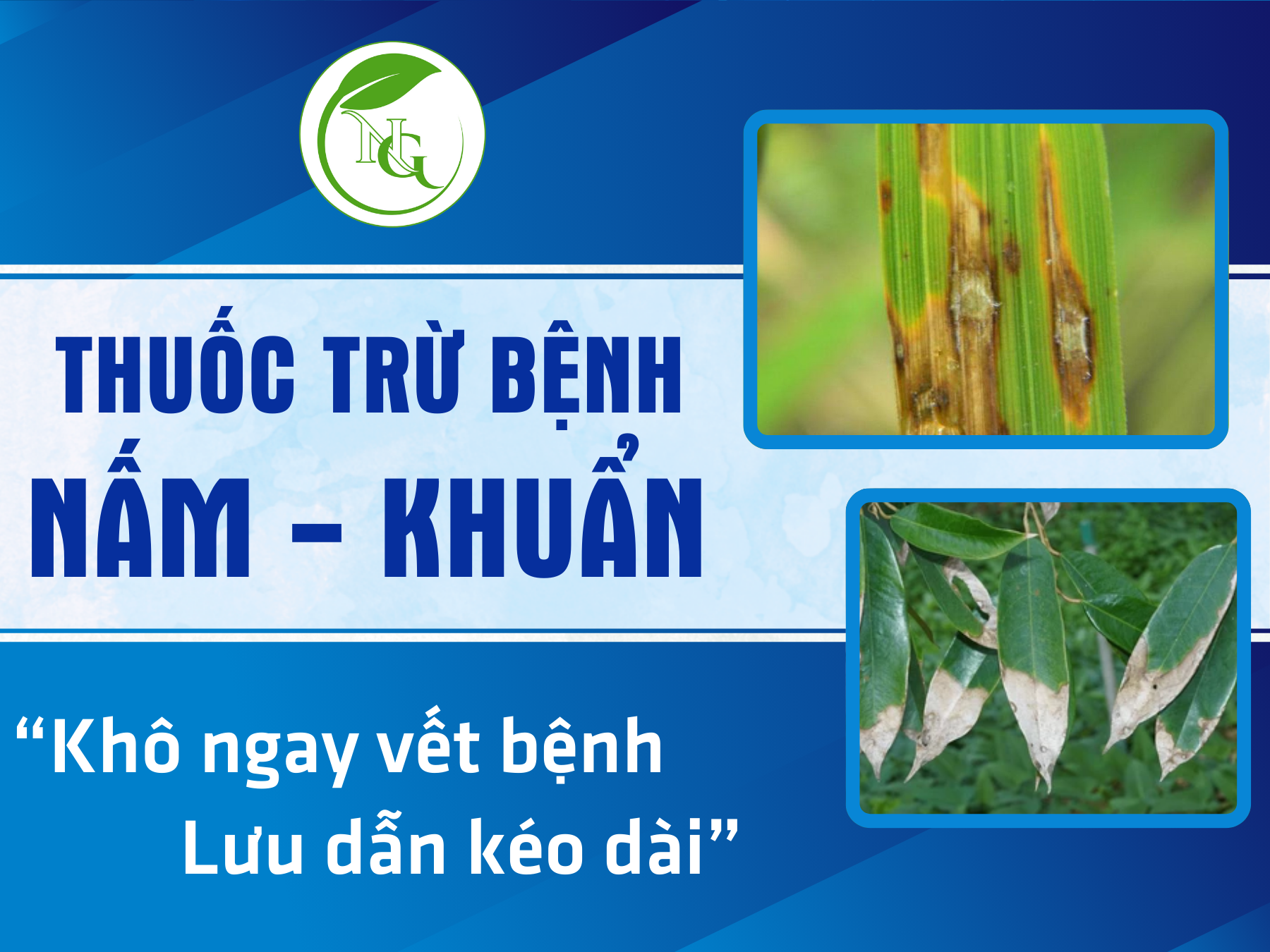 Thuốc trừ bệnh nấm - khuẩn
