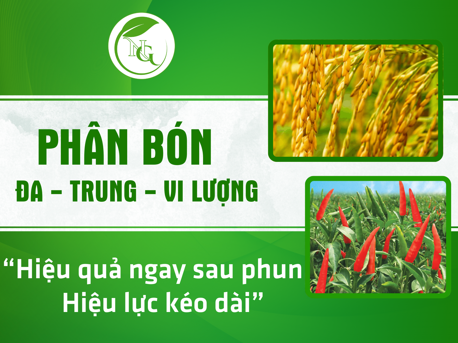 Phân bón trung vi lượng