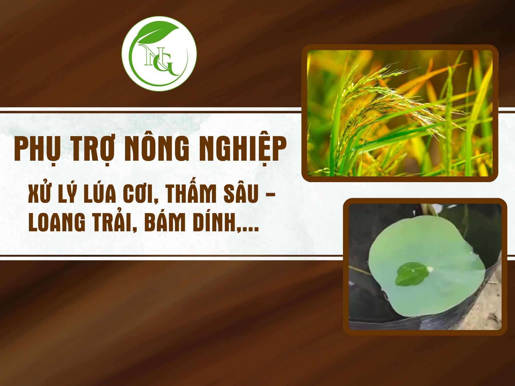 Phụ trợ nông nghiệp (xử lý lúa cơi, thấm sâu, loang trãi, bám dính,...)
