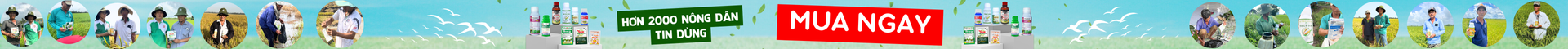 banner-topbar
