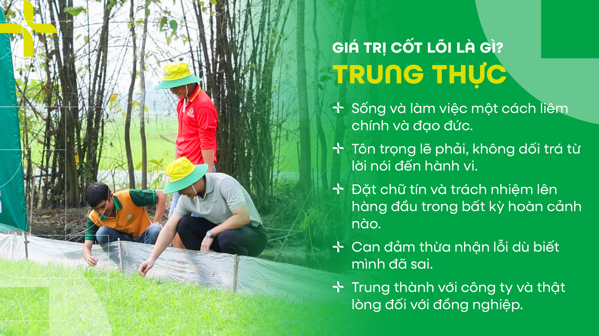 Banner Slider 1