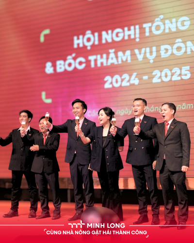 Summary of the 2024–2025 Winter–Spring Crop Season