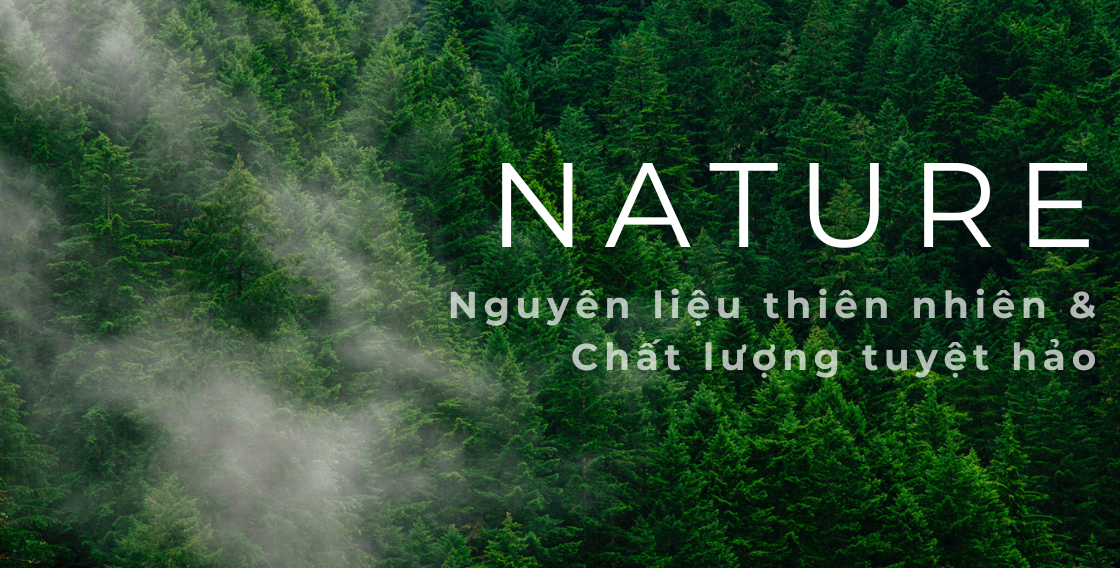 NGUYÊN LIỆU TỪ THIÊN NHIÊN THẾ GIỚI