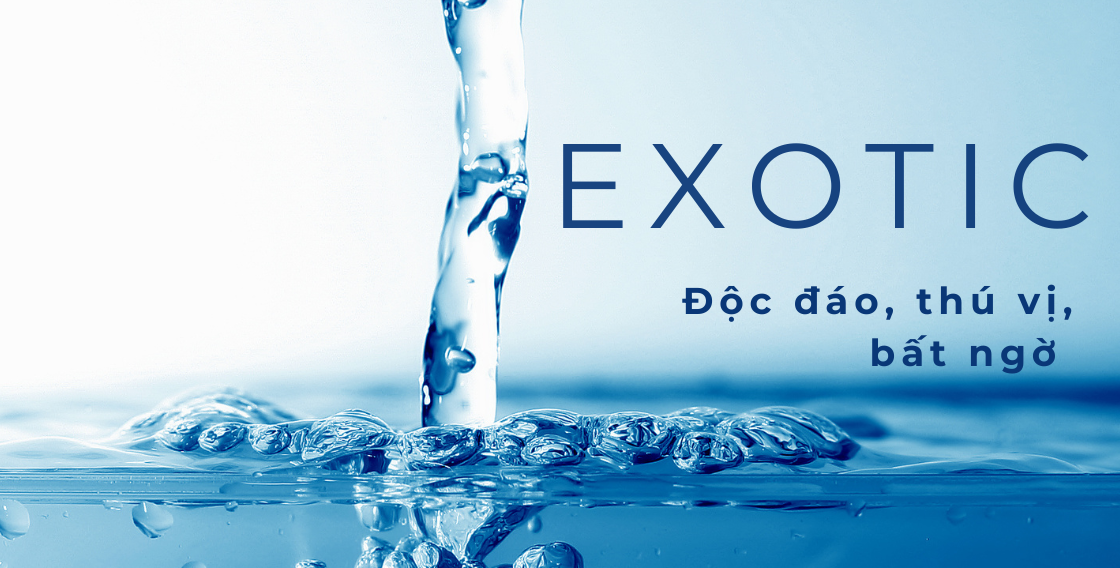 ĐỘC ĐÁO & THÚ VỊ & BẤT NGỜ