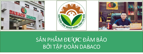 banner top 1