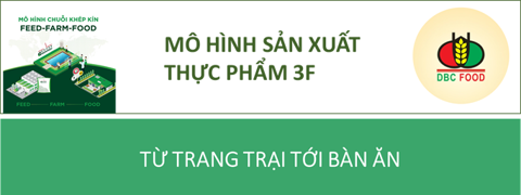 banner top 2
