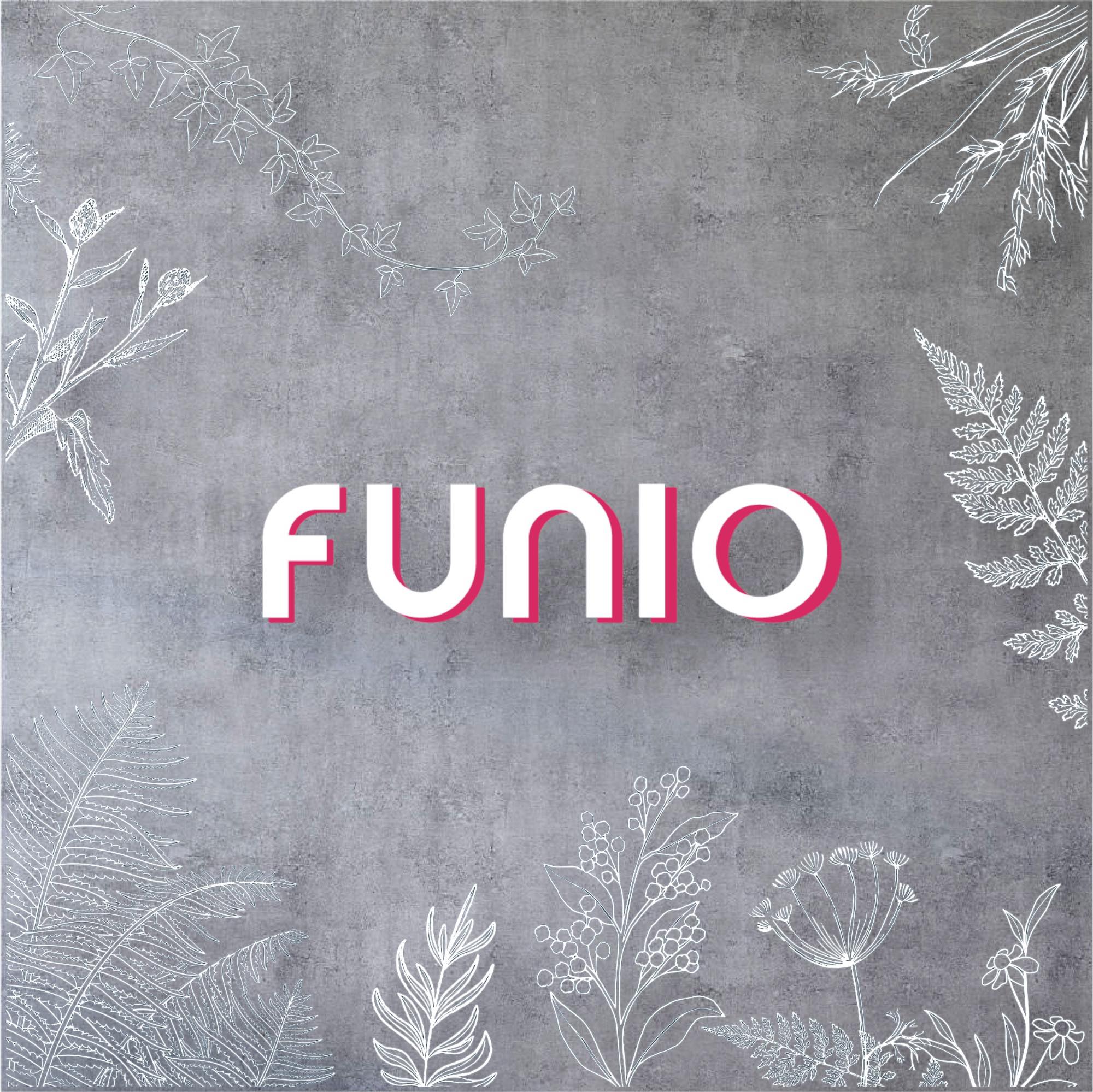 Workshop – Funio