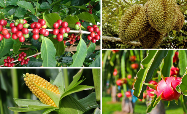 ĐÔI LỜI GIỚI THIỆU