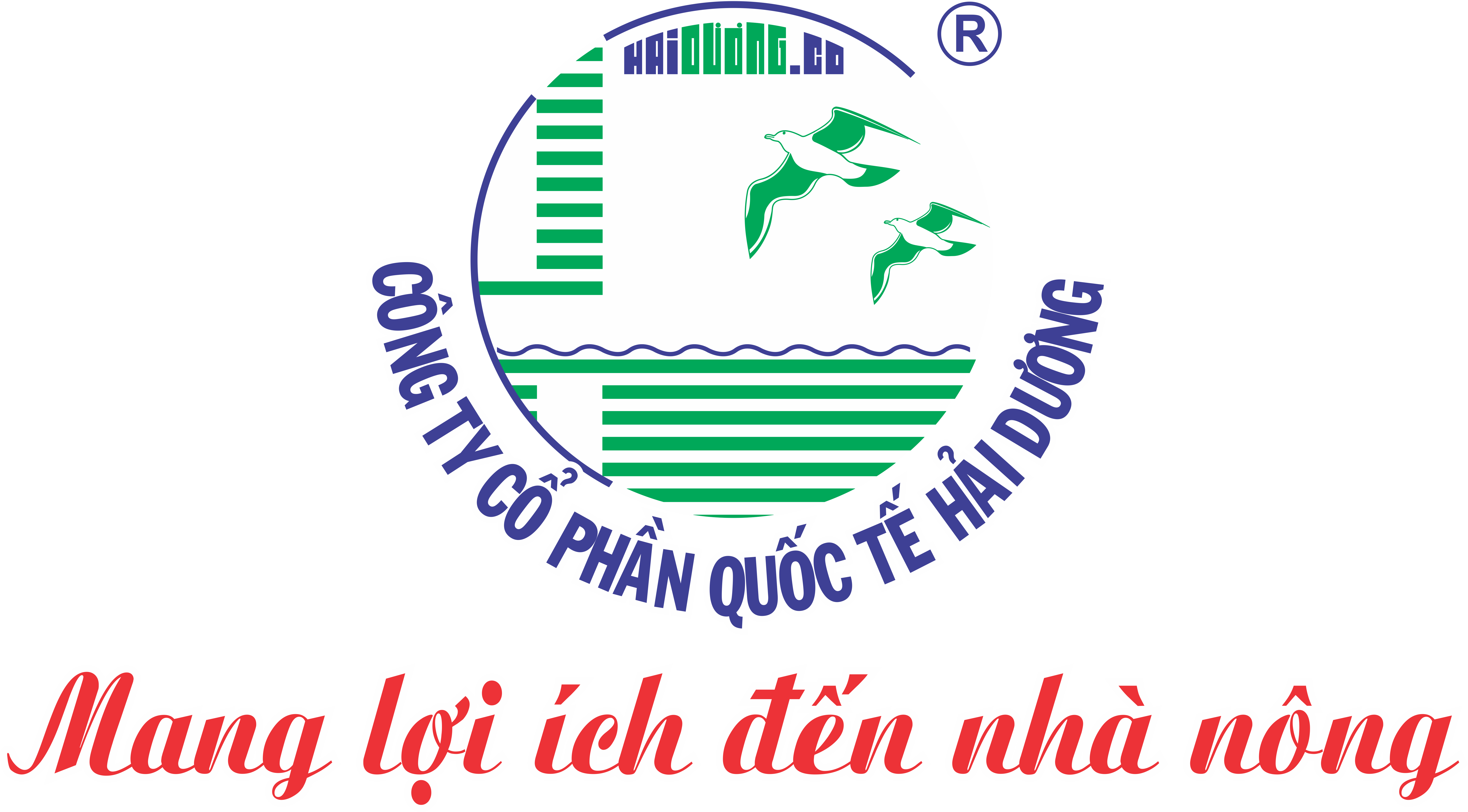 DANH SÁCH DOANH NGHIỆP TRONG KHU CÔNG NGHIỆP HẢI DƯƠNG