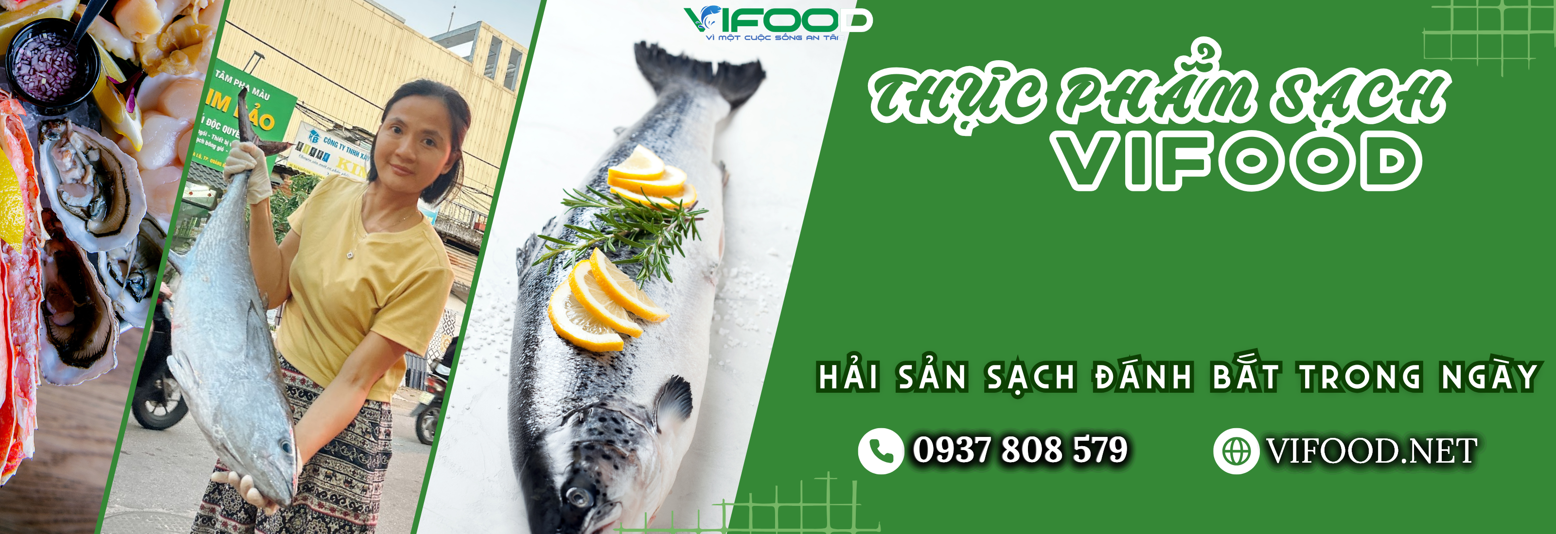 hải sản sạch đánh bắt trong ngày