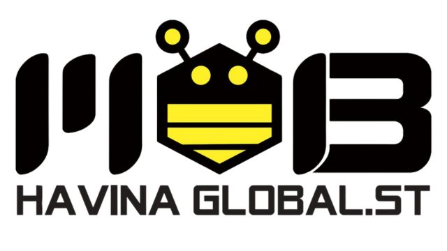 Công Ty CP Havina Global.ST