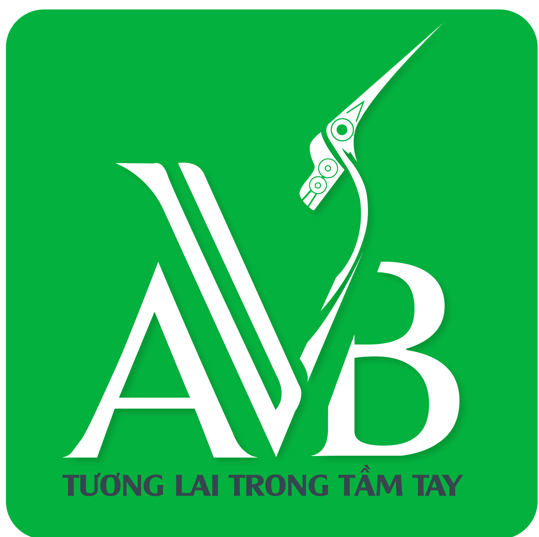 AVB Việt Nam