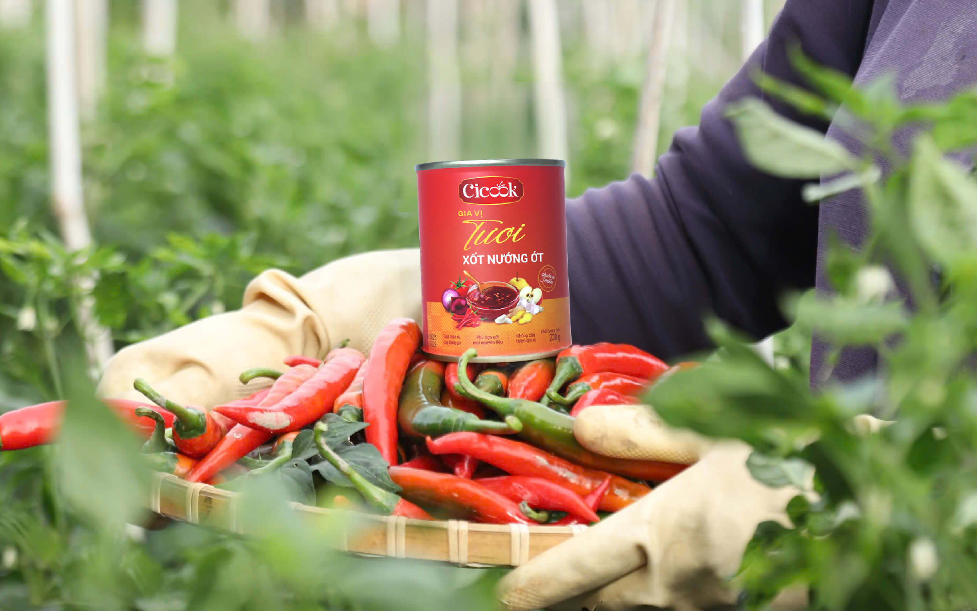 Cảm Hứng Phát Triển