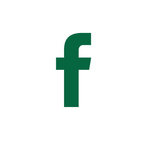 Social icon 1