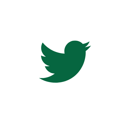 Social icon 1