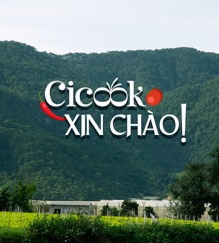 THÔNG ĐIỆP TỪ CHÚNG TÔI