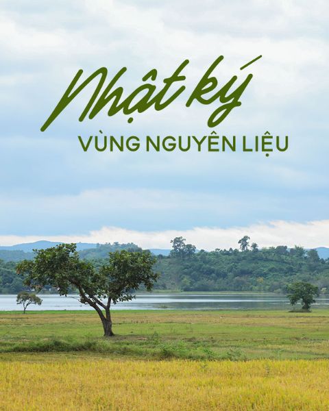 Nhật ký vùng nguyên liệu 