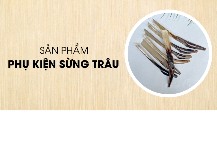 Phụ kiện sừng trâu