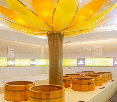 Hương Sen Healthcare-Hương-Sen-Hà Nội