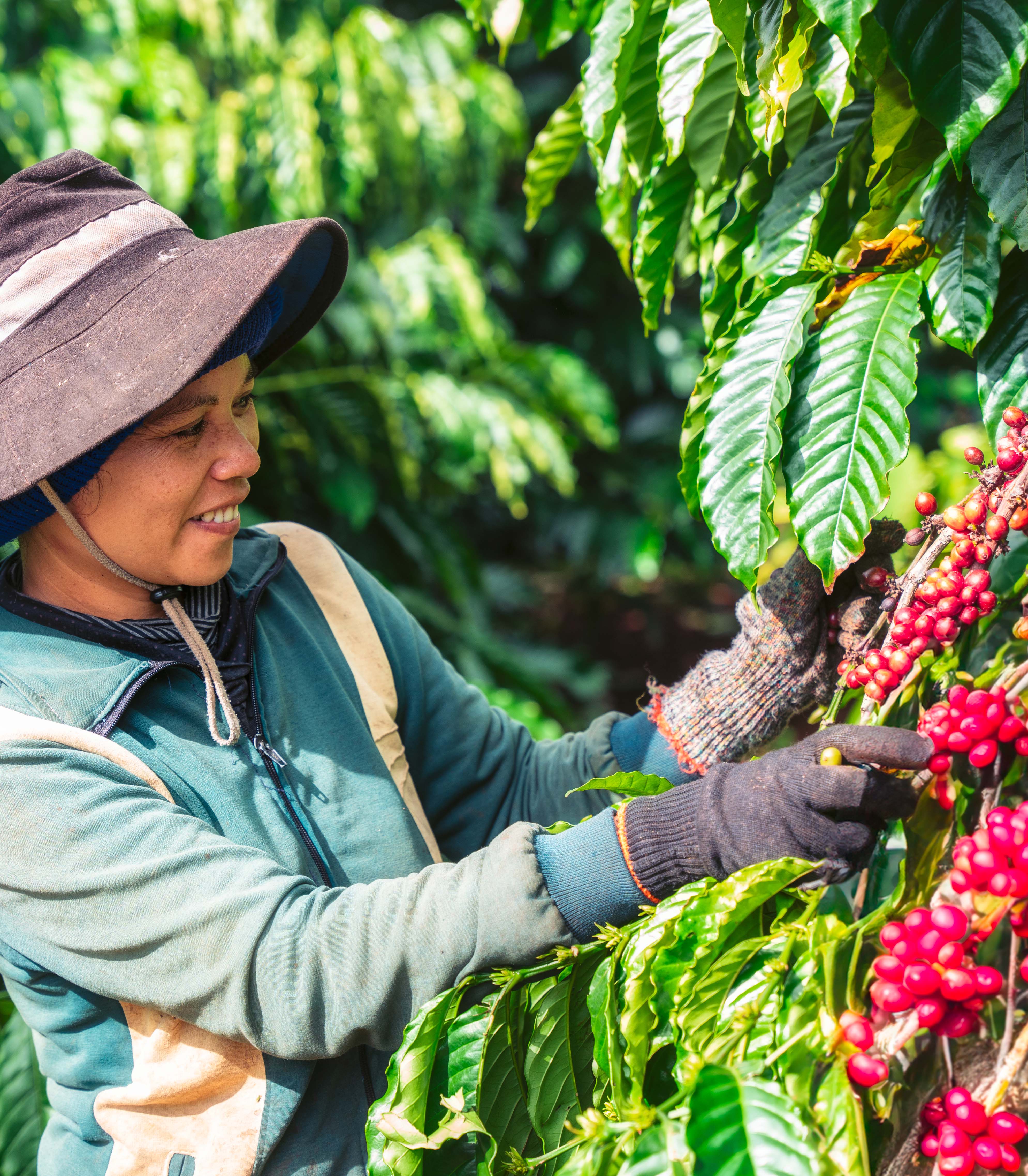 Nông Dân của chúng tôi