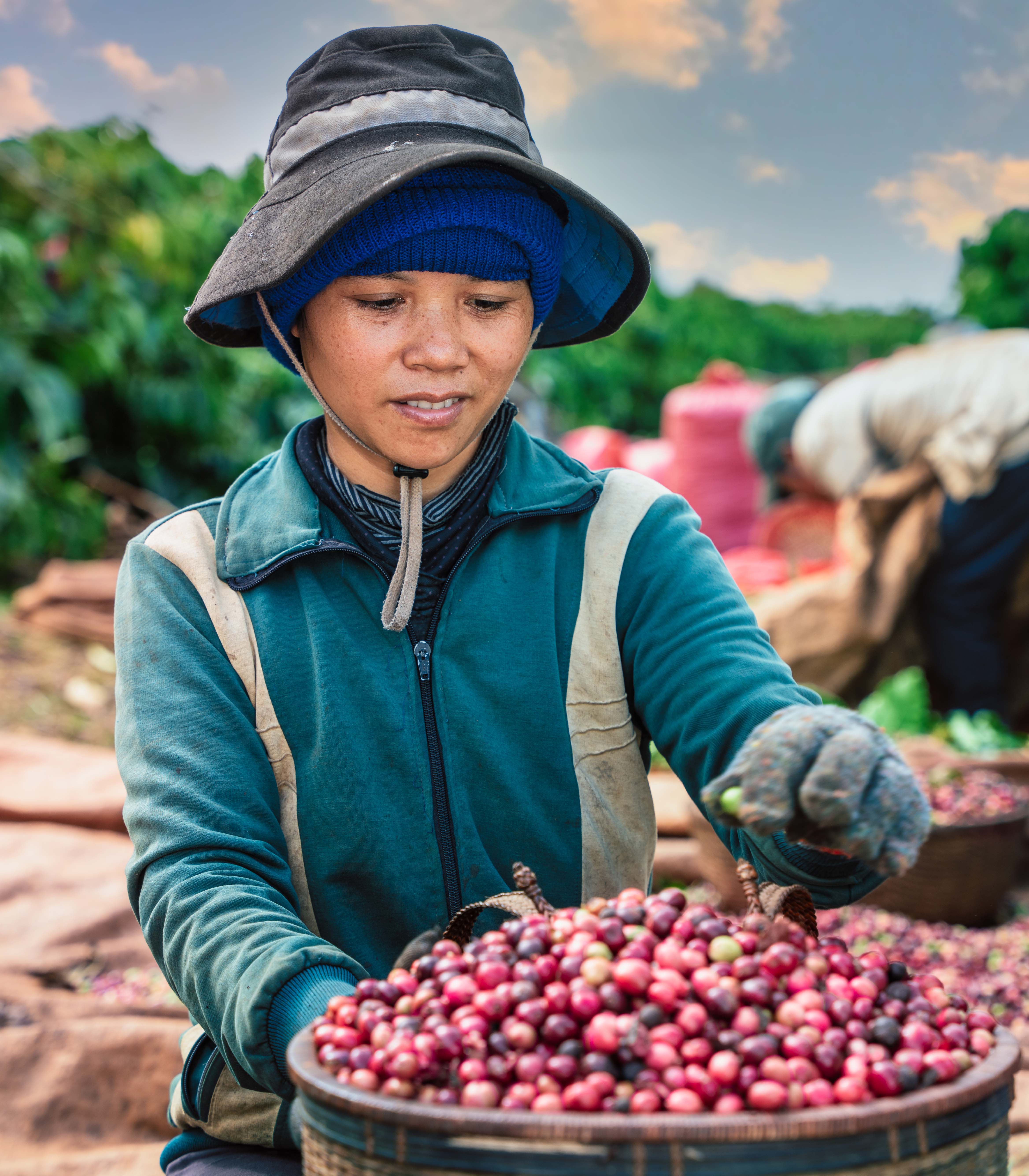 Nông Dân của chúng tôi