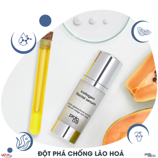 Hình ảnh 6