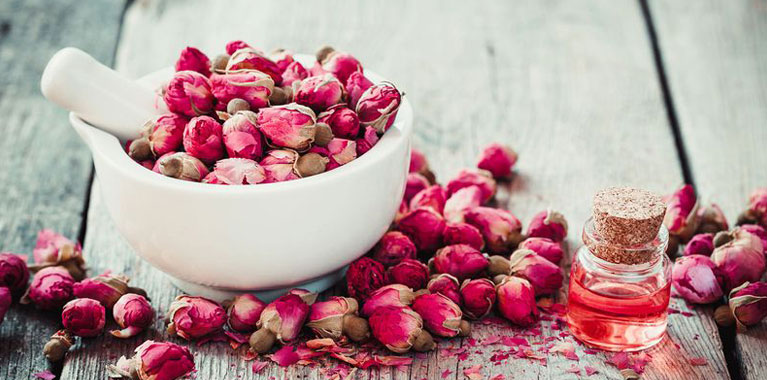banner image 4