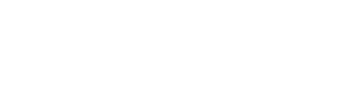 logo SALOMON Vietnam