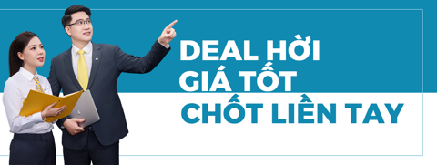 banner top 2