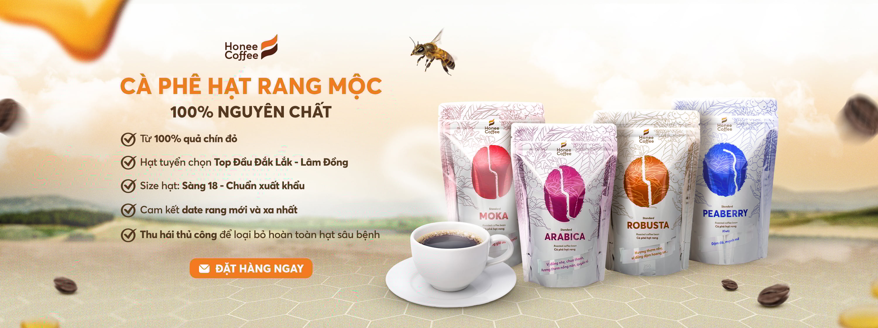 Sản phẩm nổi bật