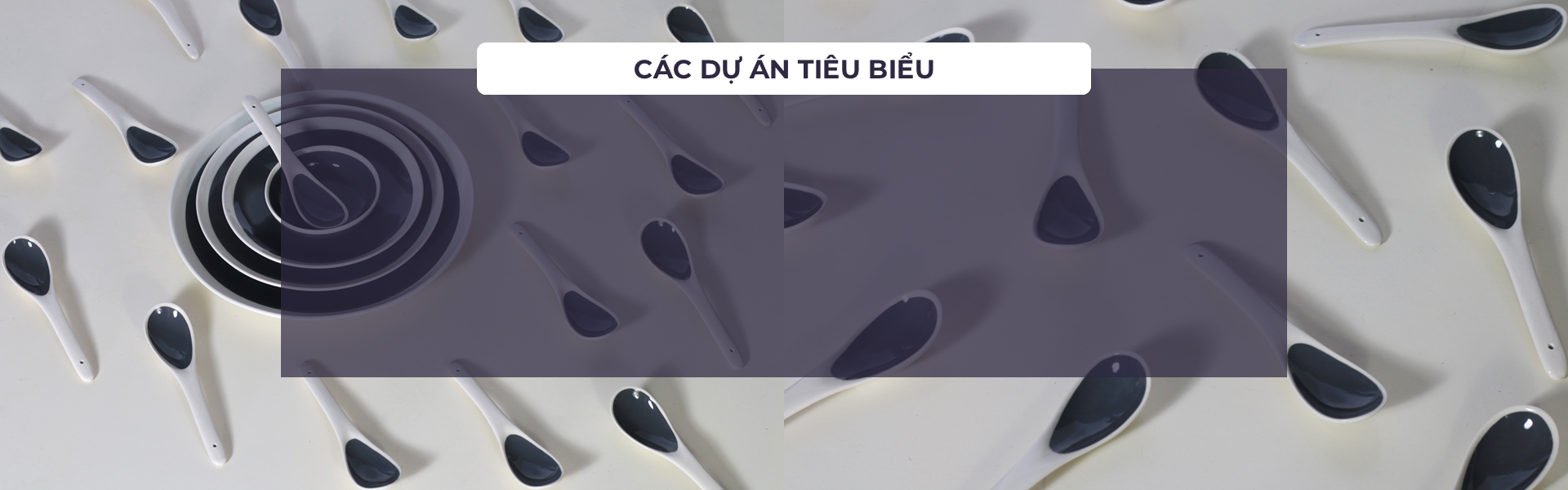 Các dự án tiêu biểu