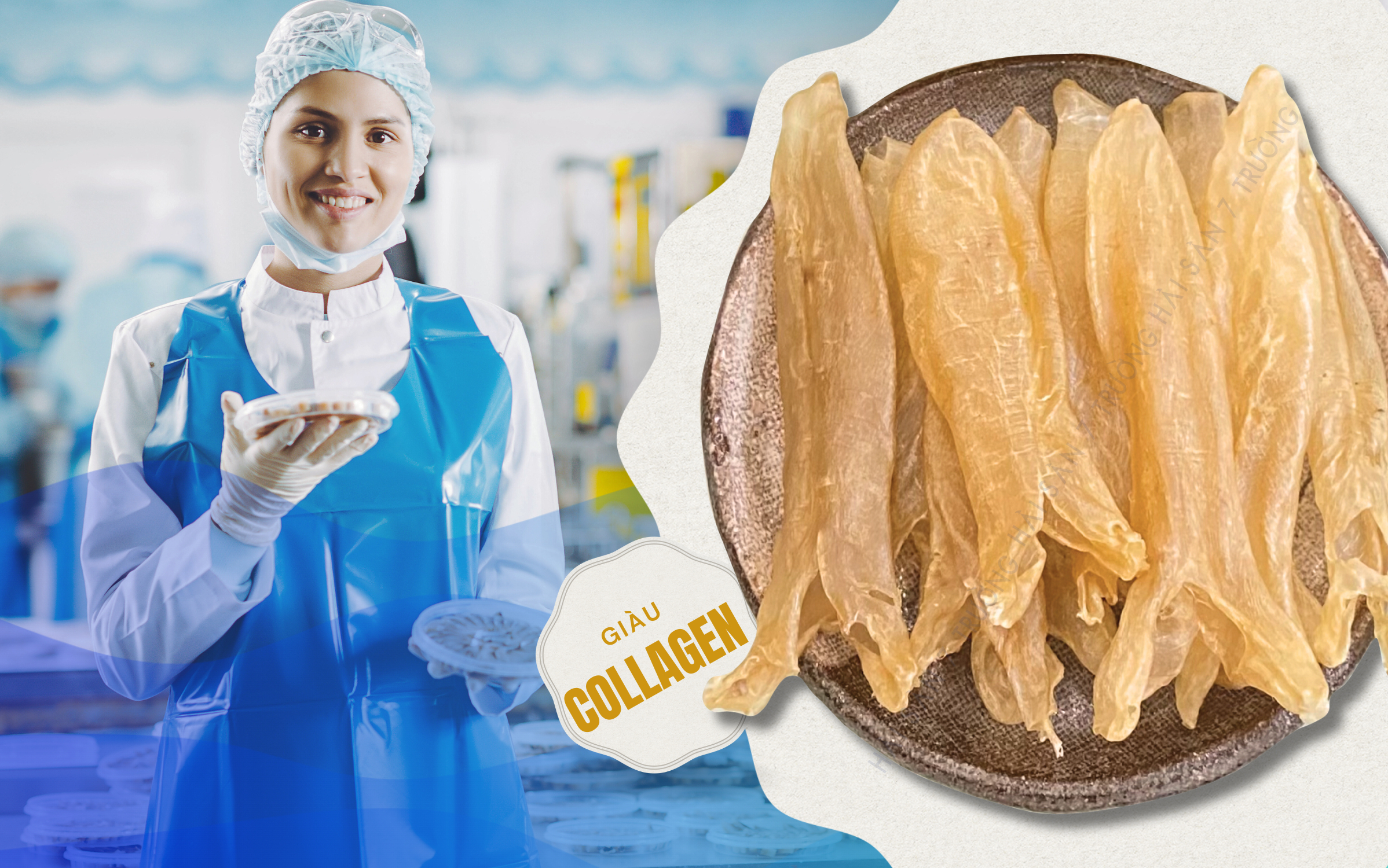 Chất lượng sản phẩm