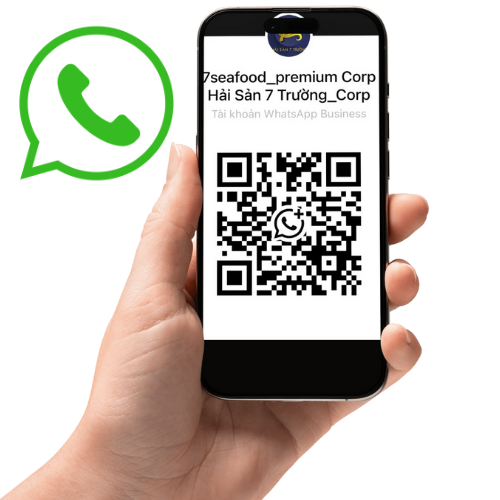 Whatsapp: (84) 969 835 180