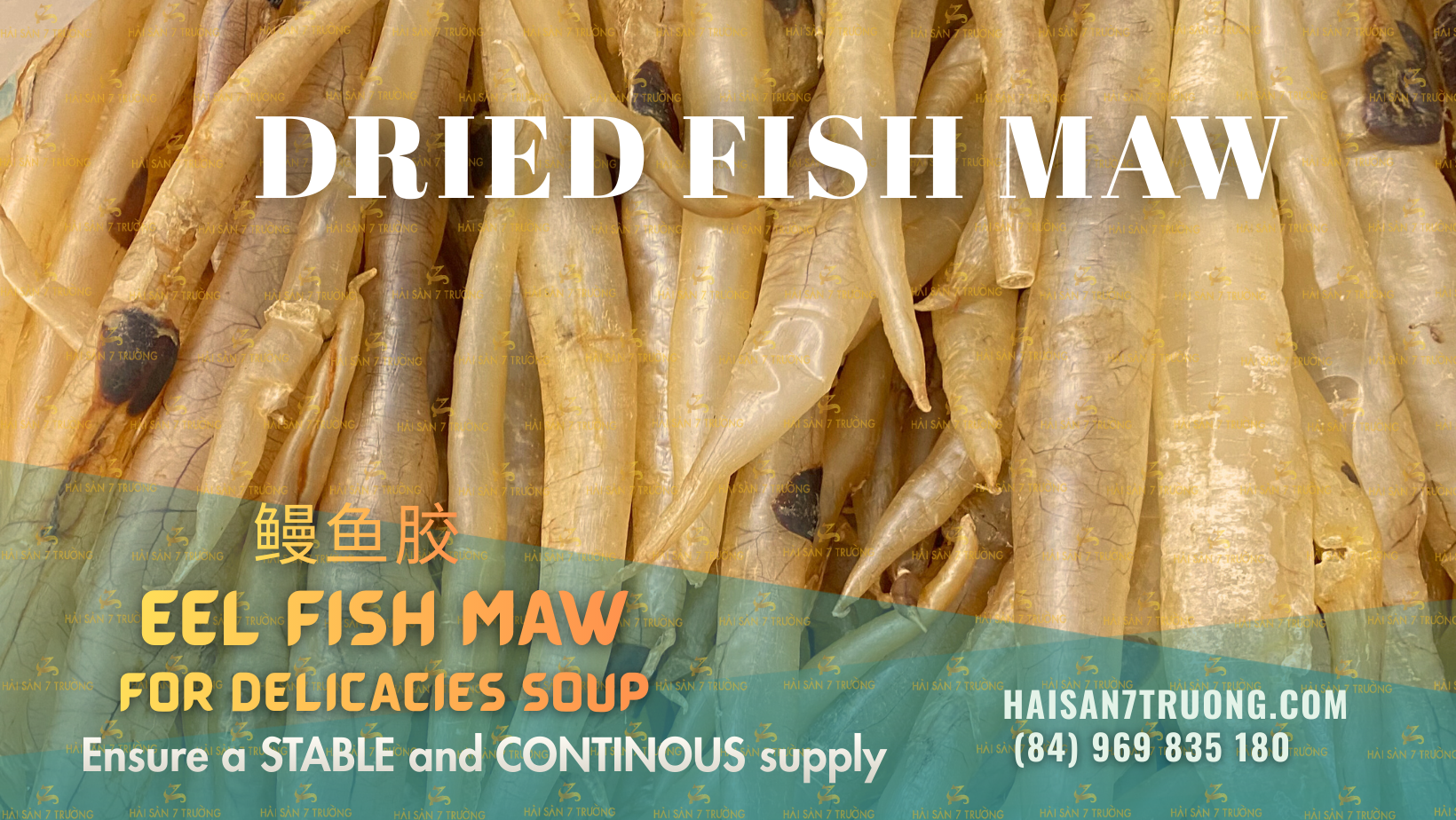eel fish maw