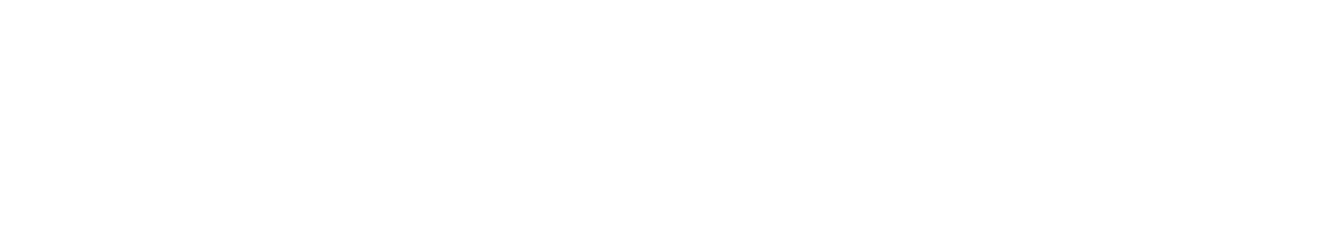 DON CHICKEN