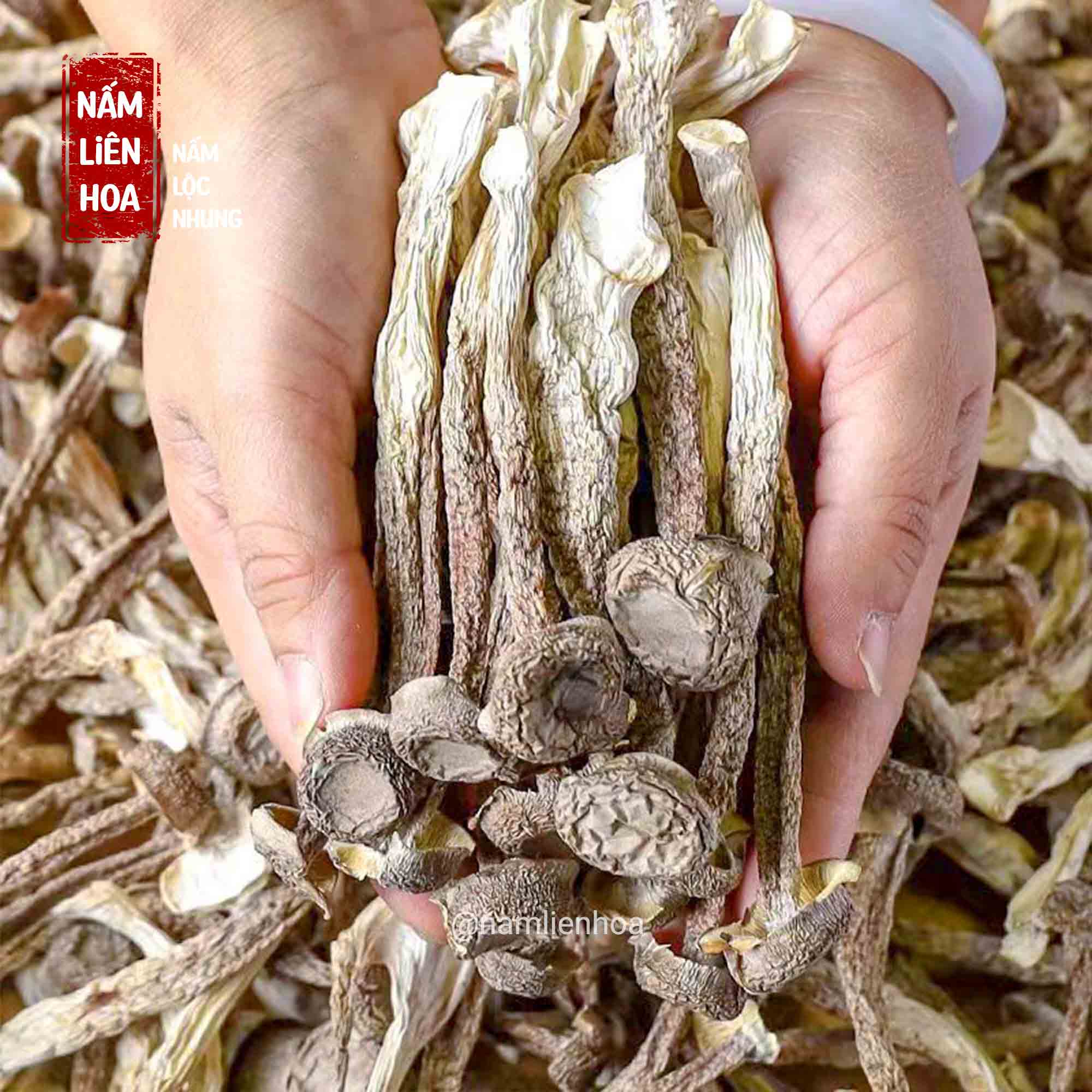 Nấm Lộc Nhung Hàng Loại 1 Nguyên Cây