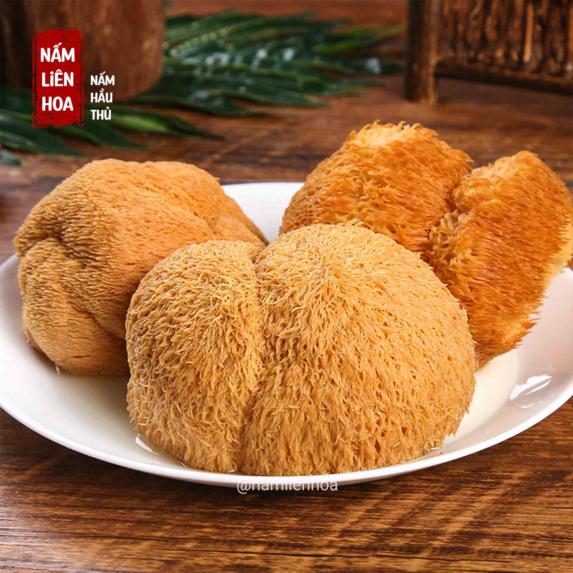 Nấm Hầu Thủ Mềm Mại