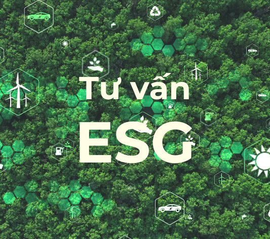Dịch vụ tư vấn ESG