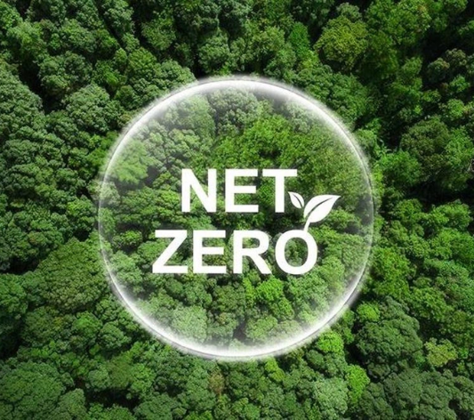 Dịch vụ về Netzero