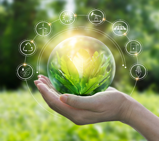 Dịch vụ về kinh tế xanh và kinh tế tuần hoàn