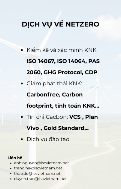 DỊCH VỤ VỀ NETZERO