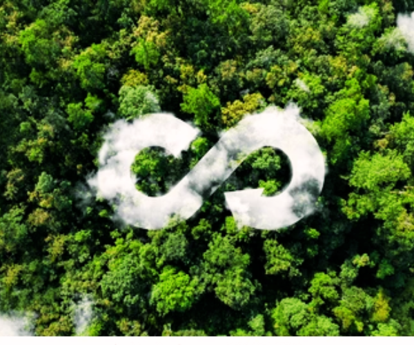 TƯ VẤN CHỨNG NHẬN KINH TẾ XANH   