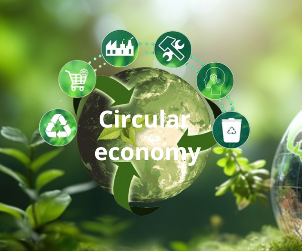 TƯ VẤN CHỨNG NHẬN KINH TẾ TUẦN HOÀN 