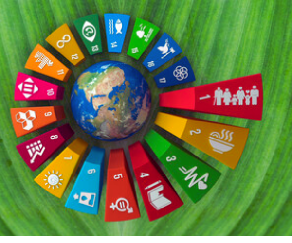 TƯ VẤN CHUYÊN SÂU VỀ ESG THEO CÁC CHỦ ĐỀ