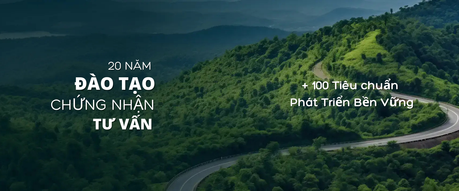 Công ty TNHH Tư vấn quản lý và Phát triển doanh nghiệp Á Châu - AHEAD