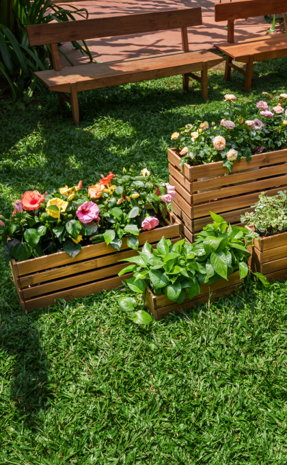 settings[project_title]