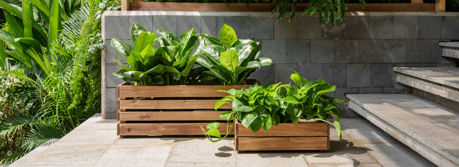 Planter Box