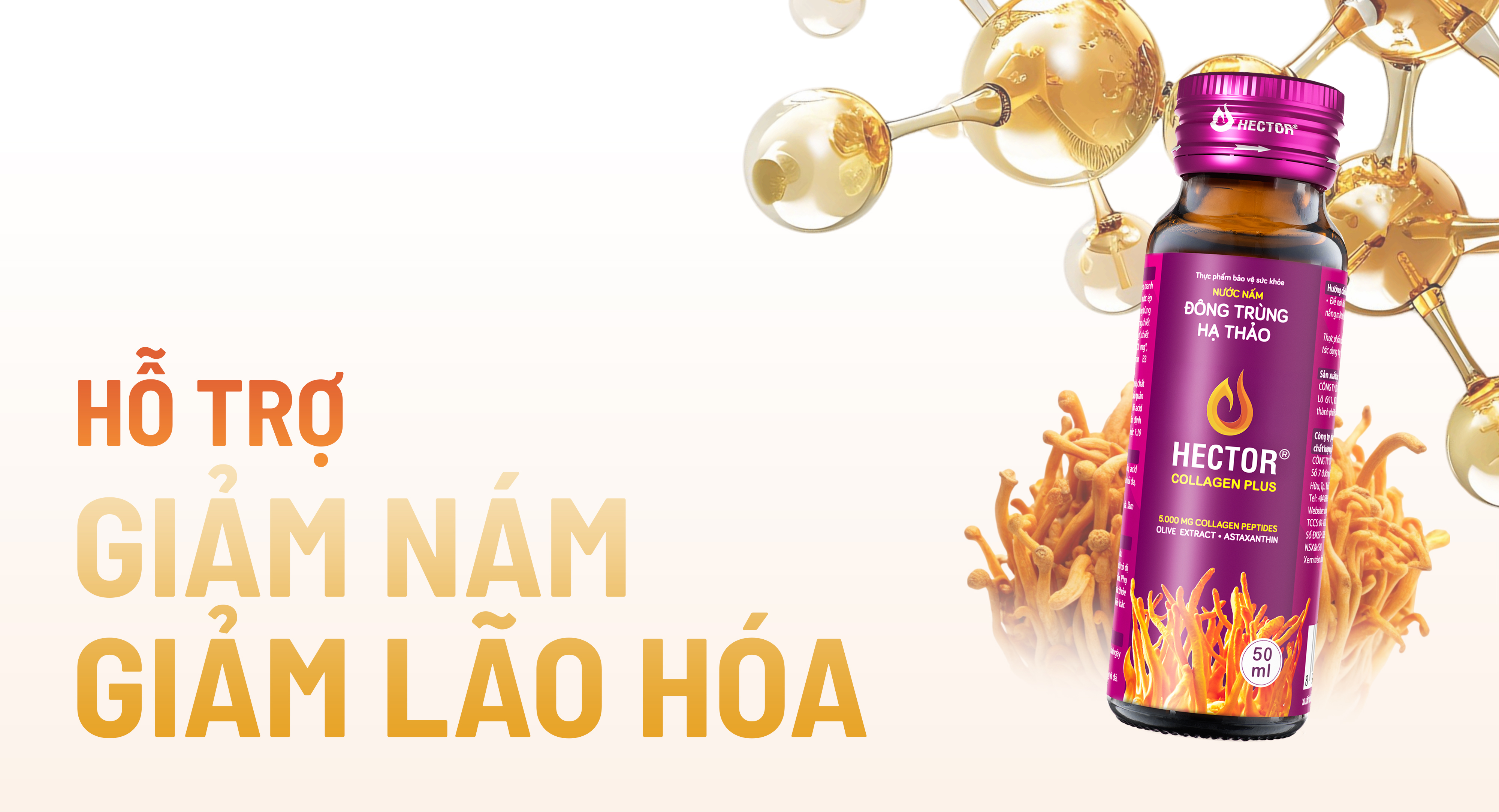 Mờ nám, đốm nâu